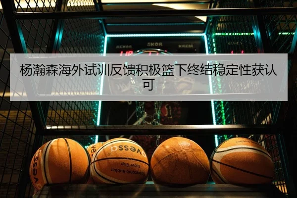 杨瀚森海外试训反馈积极篮下终结稳定性获认可
